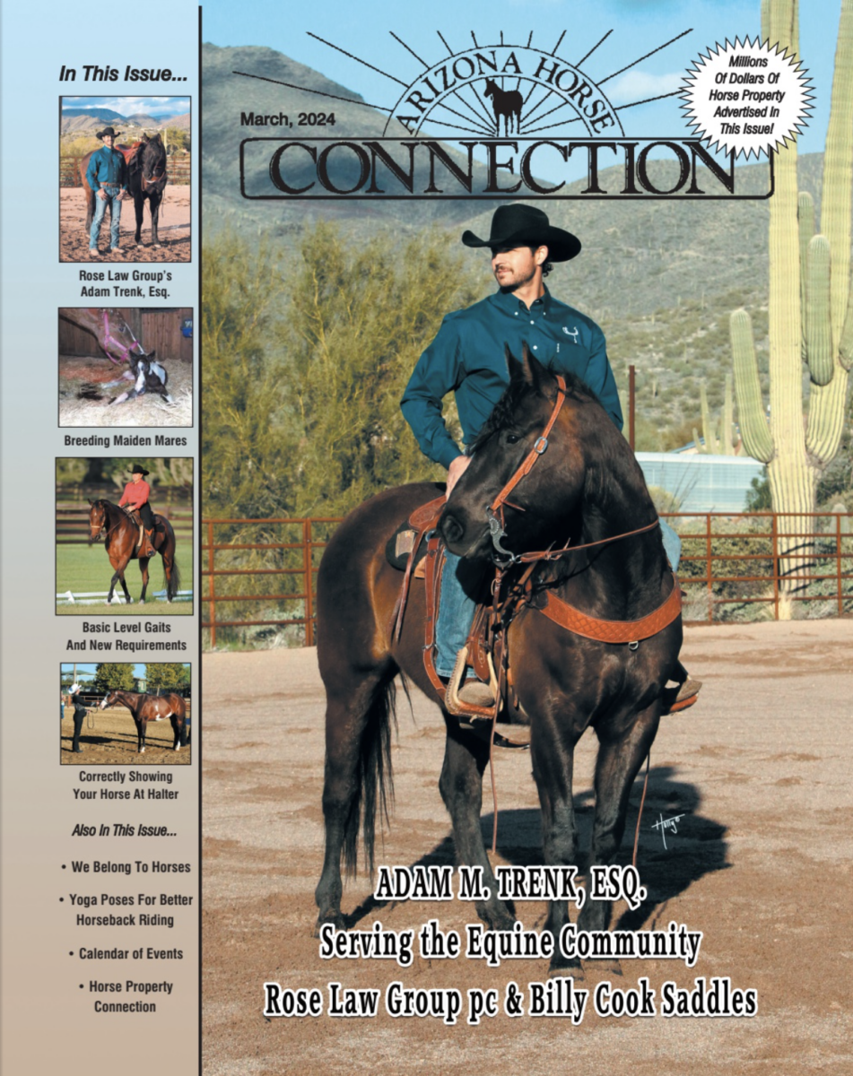 Adam Trenk, Rose Law Group partner and director of equine law practice ...