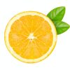 cut into orange